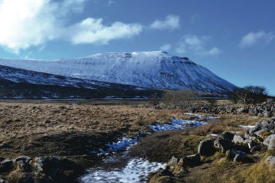 Yorkshire Dales Postcard Four-Pack
