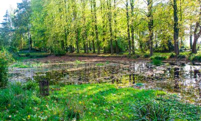 Lovell Quinta Arboretum